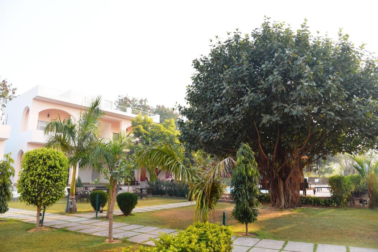 The Shergarh Sawai Madhopur Ngoại thất bức ảnh